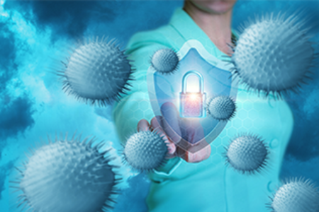 计算机病毒的概述