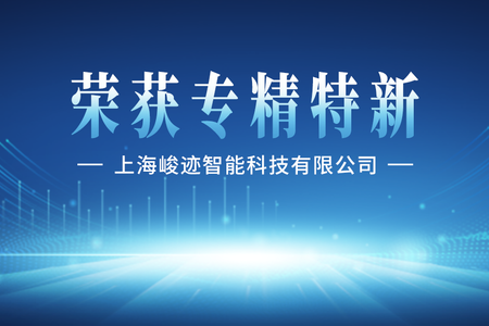 荣获专精特新：创新发展再添新动力